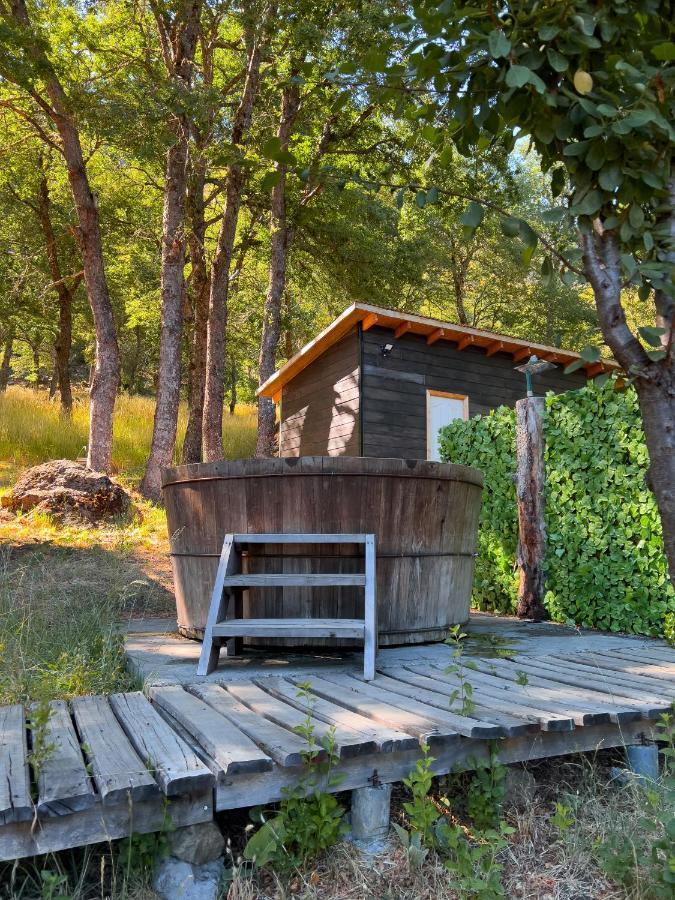 Apartamento Domo En La Naturaleza *