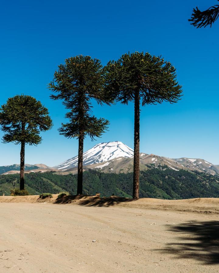 Apartamento Domo En La Naturaleza Lonquimay