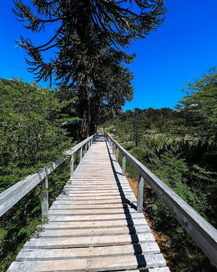 Apartamento Domo En La Naturaleza *
