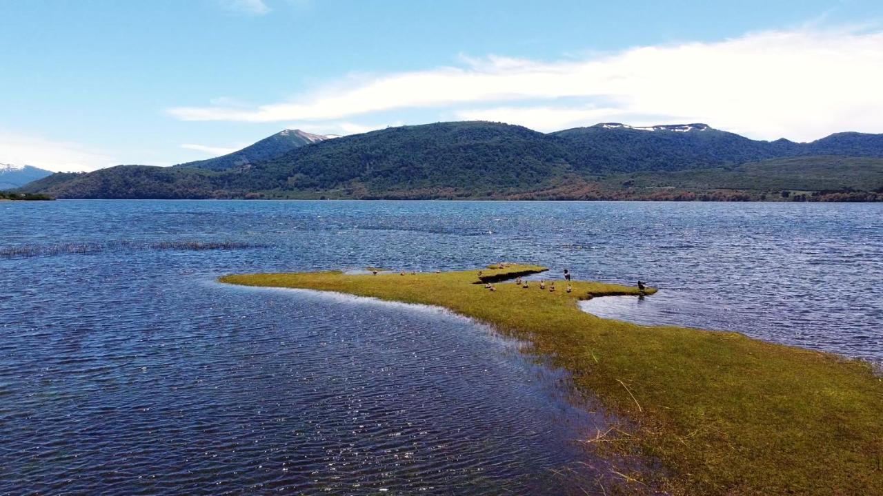Domo En La Naturaleza Lonquimay